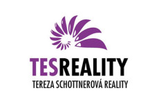 TES Reality - logo